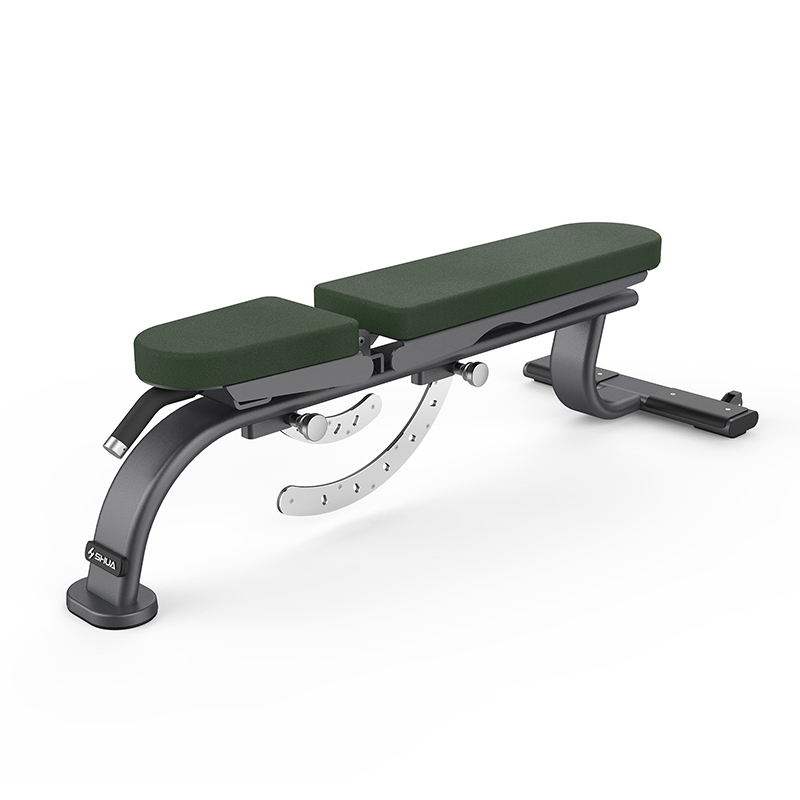 SHUA/舒華調節啞鈴凳SH-G6855